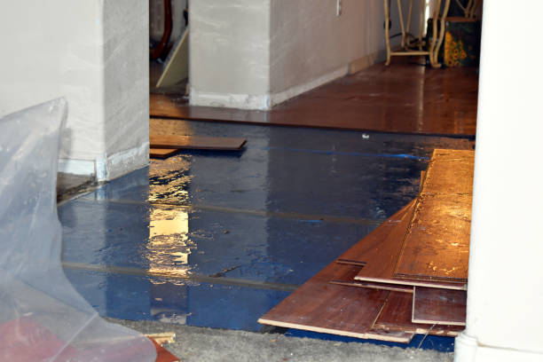 Professional Basement Flood Cleanup technician working in Bloomington Springs, TN
